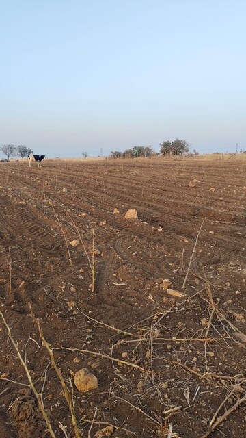  Land – Exterior View View at Shabad - for Sale