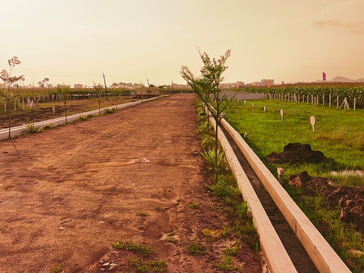 Exterior View, tadigadapa  125 Sq.Yd. Plot In Tadigadapa Vijayawada 8432949