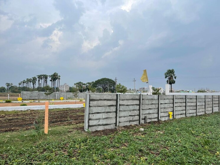 Exterior View, tadigadapa  125 Sq.Yd. Plot In Tadigadapa Vijayawada 8432949