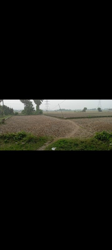 Plot Area in  Land at Basanti Highway – for Sale