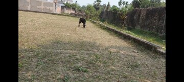Plot Area in  Land at Basanti Highway – for Sale