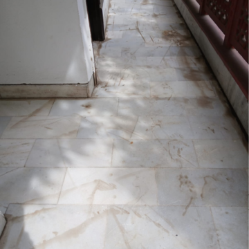 Balcony in 2 BHK Builder Floor at Chittaranjan Park – for Rent