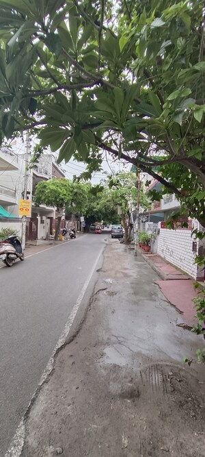  Plot For Sale in Chipiyana Buzurg