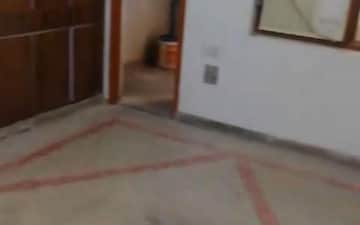 3 BHK Apartment For Rent in Amrapali Castle, Chi V Greater Noida