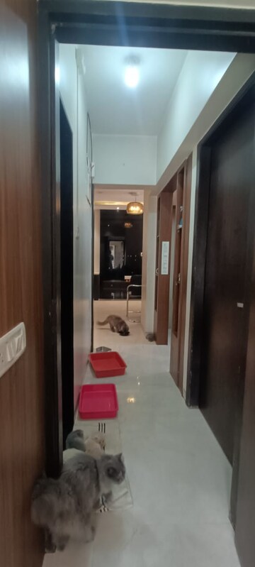 Building Lobby in 2 BHK Apartment at Nikita Apartments Vakola, Vakola – for Rent