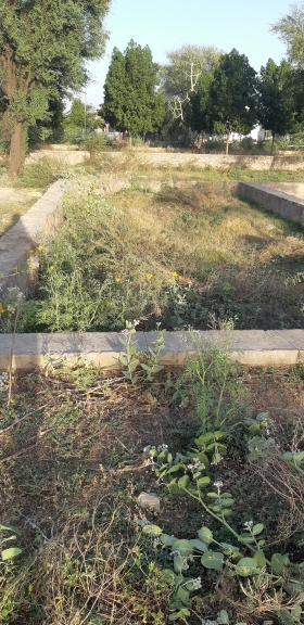 Plot For Sale in Open Plot 30