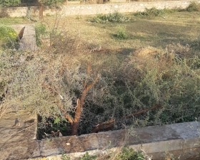 Plot For Sale in Jagatpura