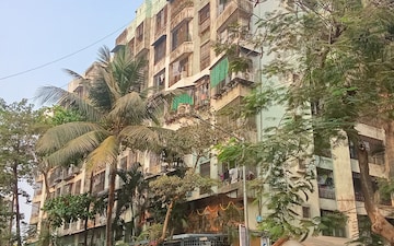 1 BHK Apartment For Rent in Borivali West
