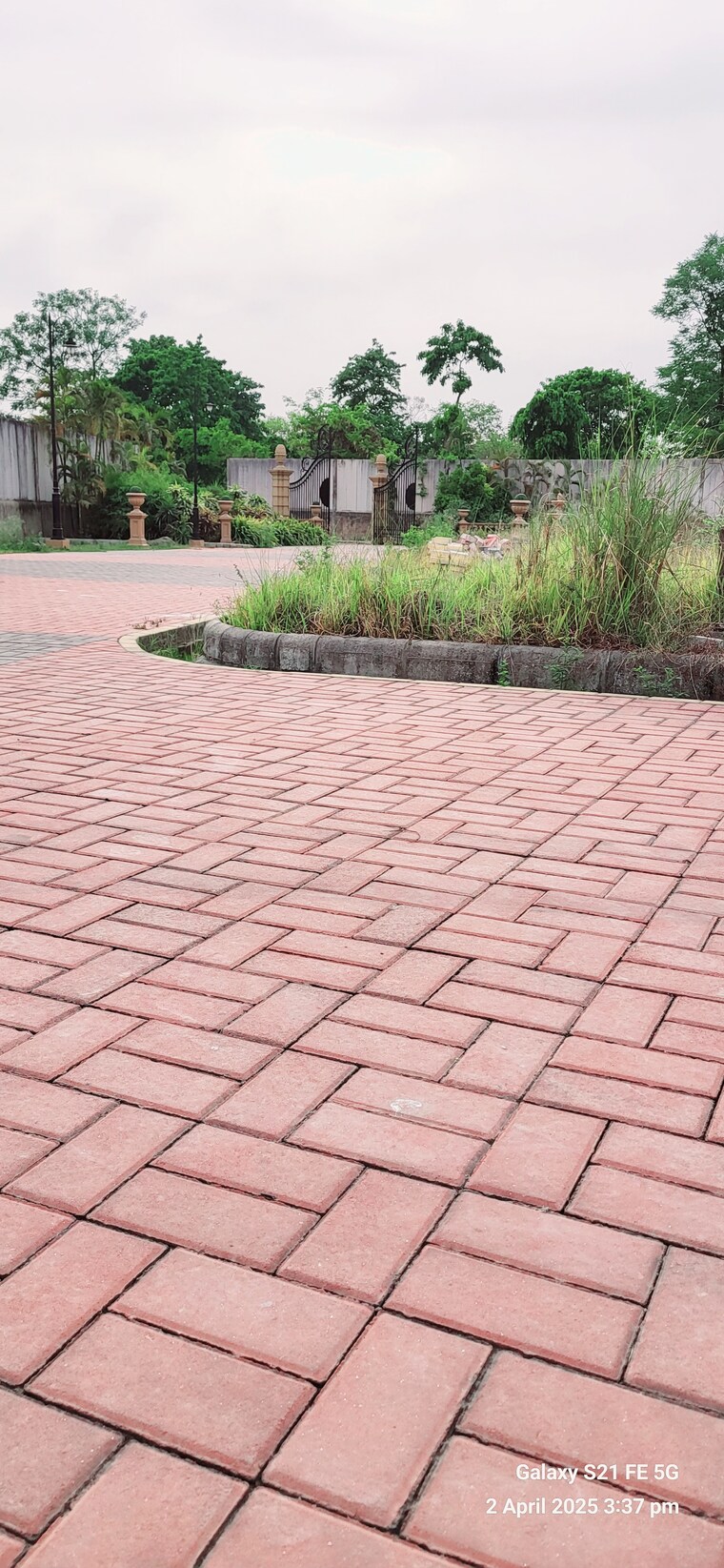 Exterior View, kasia  1000 Sq.Ft. Plot In Kasia Kushinagar 8433727