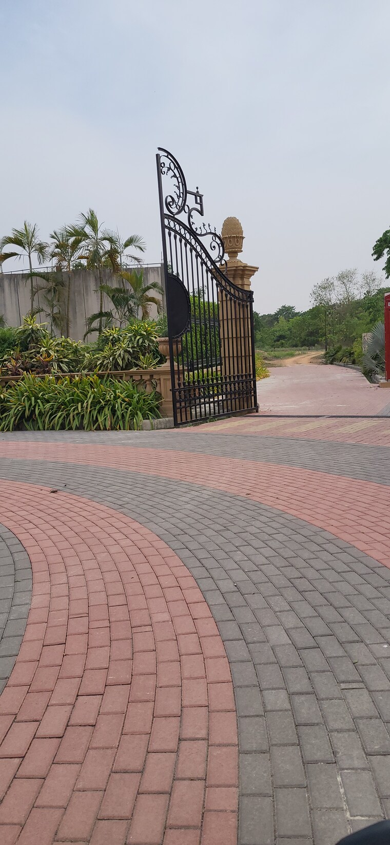 Exterior View, kasia  1000 Sq.Ft. Plot In Kasia Kushinagar 8433727