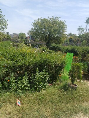 2 BHK Independent House – Garden View at Gladiator Homes Plot, Xu Iii Greater Noida - for Sale