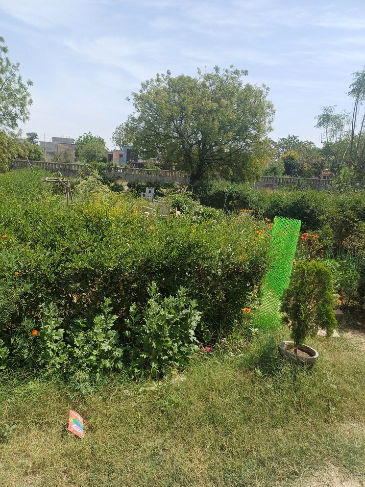 Garden, gladiator-homes-plot 2 Bedroom 120 Sq.Mt. Independent House In Xu Iii Greater Noida Greater Noida 8434228