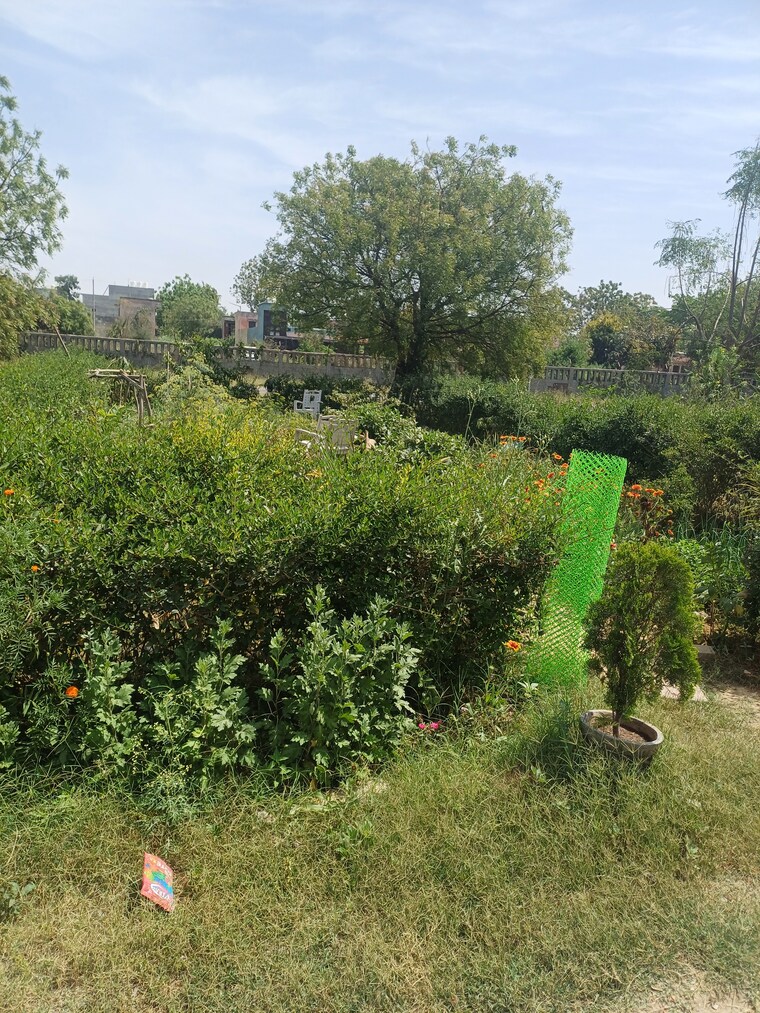 Garden, gladiator-homes-plot 2 Bedroom 120 Sq.Mt. Independent House In Xu Iii Greater Noida Greater Noida 8434228