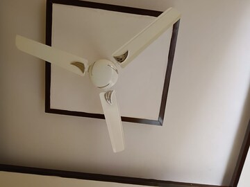 Furnished Amenities in 2 BHK Builder Floor at RPS Palm Drive, Sector 88 – for Rent