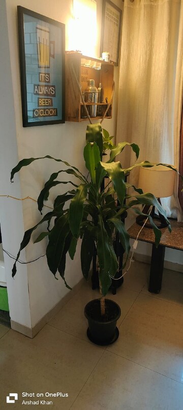 Team Area in 2 BHK Apartment at Bandra West – for Rent