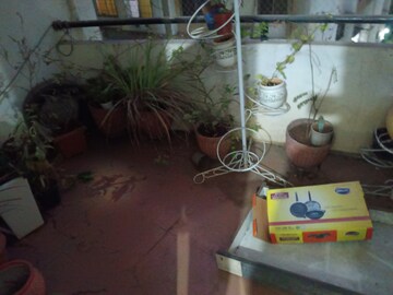 Balcony in 3 BHK Apartment at Shubhashree Apartmaent Akurdi, Akurdi – for Rent