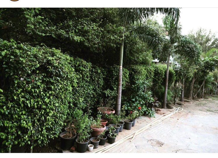 Garden, sector 24 1 Bedroom 700 Sq.Ft. Apartment In Sector 24 Gurgaon 8435260