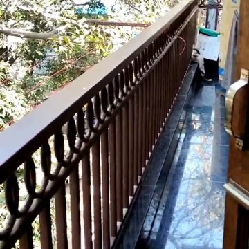 Balcony in 3 BHK Builder Floor at Jangpura – for Rent
