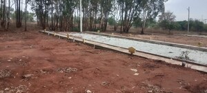  Plot For Sale in Sathnur