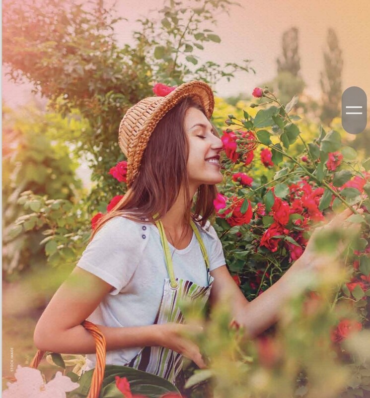 Master Bedroom, signature-global-daxin-vistas 3.5 Bedroom 1850 Sq.Ft. Apartment In Bhondsi Gurgaon 8436603