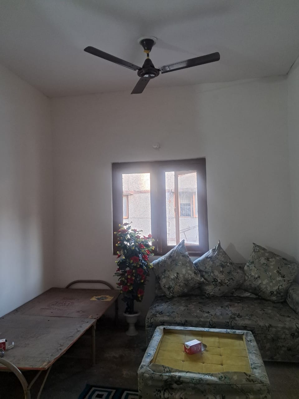 1 BHK 40 Sq.Mt. Builder Floor in Gulmohar Estate