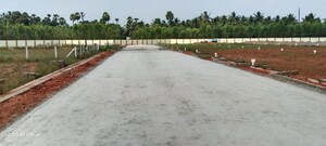  Plot For Sale in Kothapalem