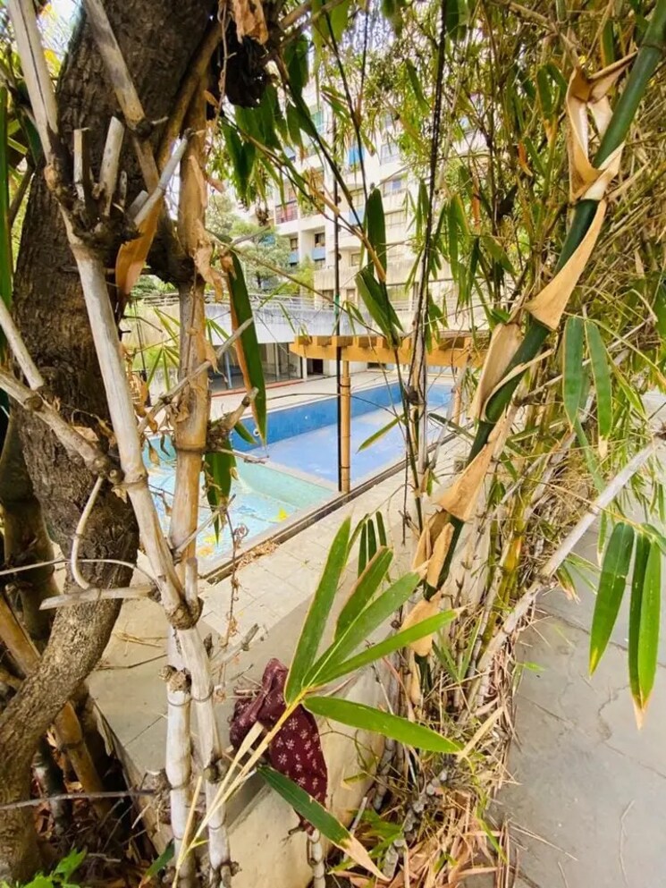 Swimming Pool, dsk-garden-enclave 3 Bedroom 1600 Sq.Ft. Apartment In Kondhwa Pune 8438040