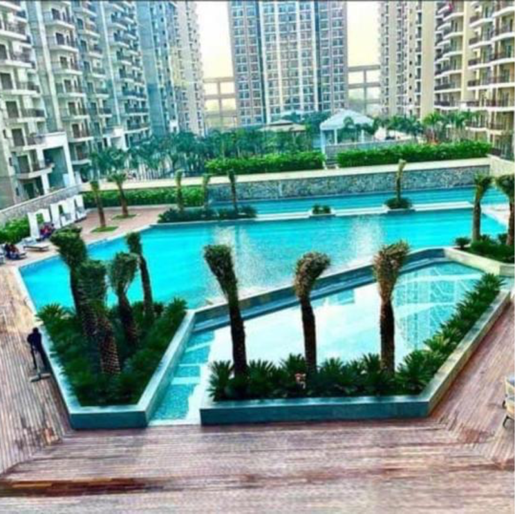 Gym, ace-divino 2 Bedroom 945 Sq.Ft. Apartment In Aimnabad Greater Noida 8438082