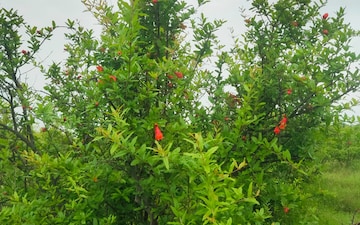 Land For Sale in Narol Road