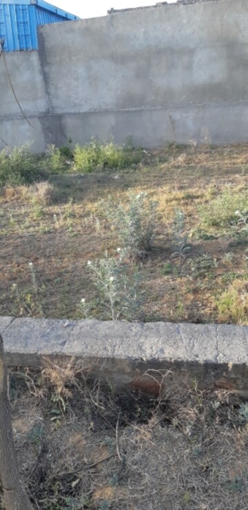  Land For Sale in Siddharth Nagar