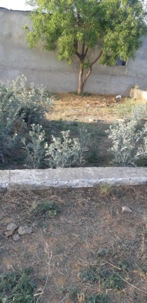  Plot For Sale in Malviya Nagar