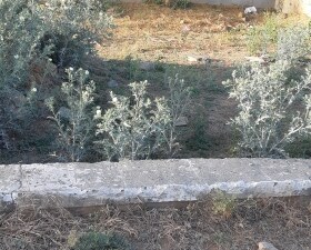 Plot For Sale in Malviya Nagar