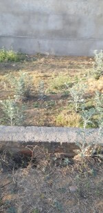 172 Sq.Yd. Plot in Tonk Road