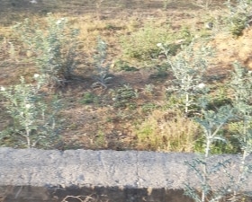 Plot For Sale in Tonk Road