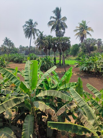 5 BHK Independent House – Garden View at Nalasopara West - for Sale