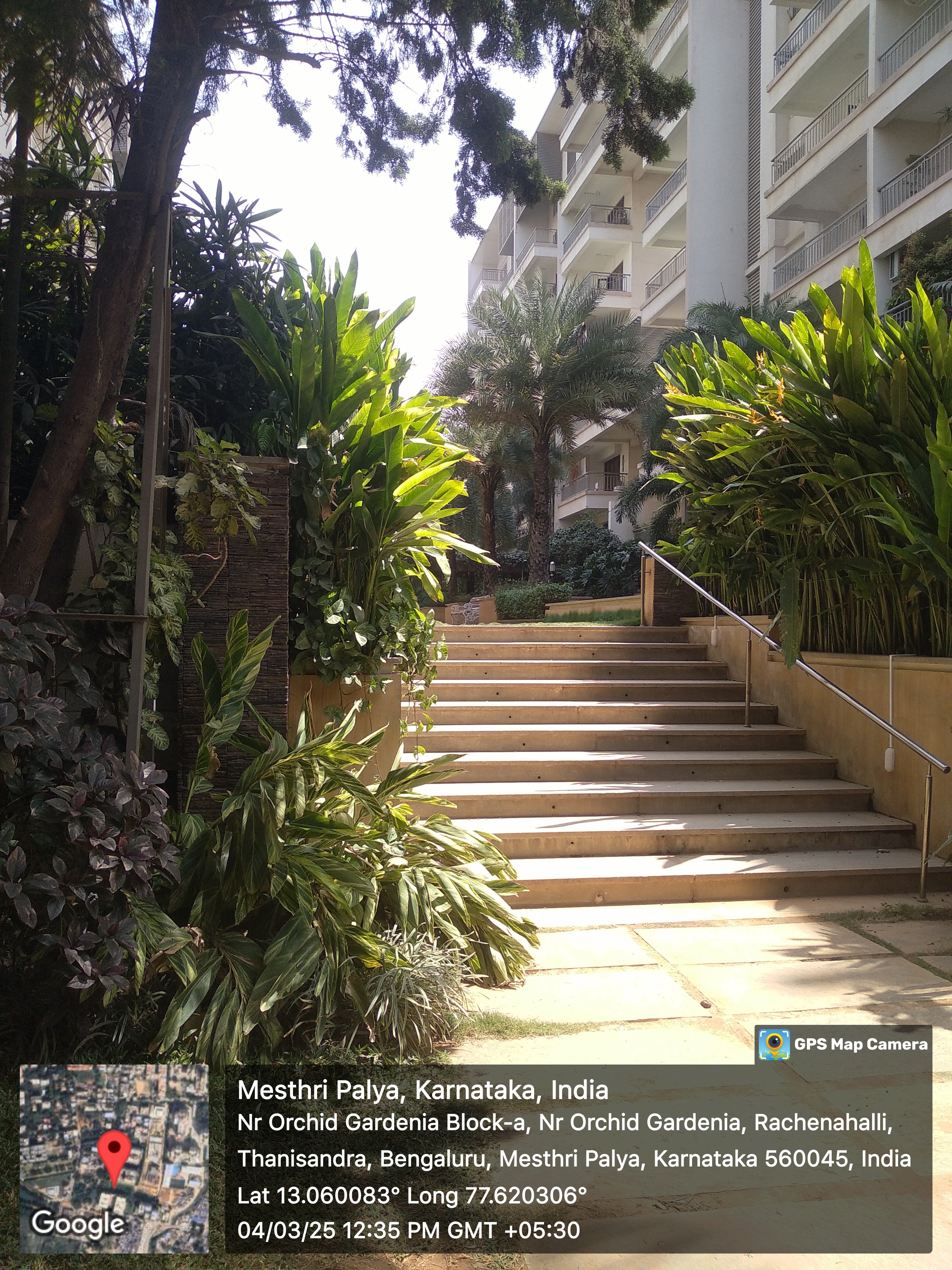 3.5 BHK + Pooja Room,Servant Room Apartment For Sale in NR Orchid Gardenia