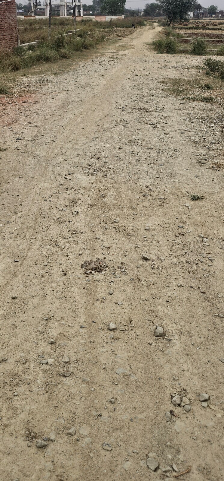 Exterior View, ramnagar  1360 Sq.Yd. Plot In Ramnagar Varanasi 8438467