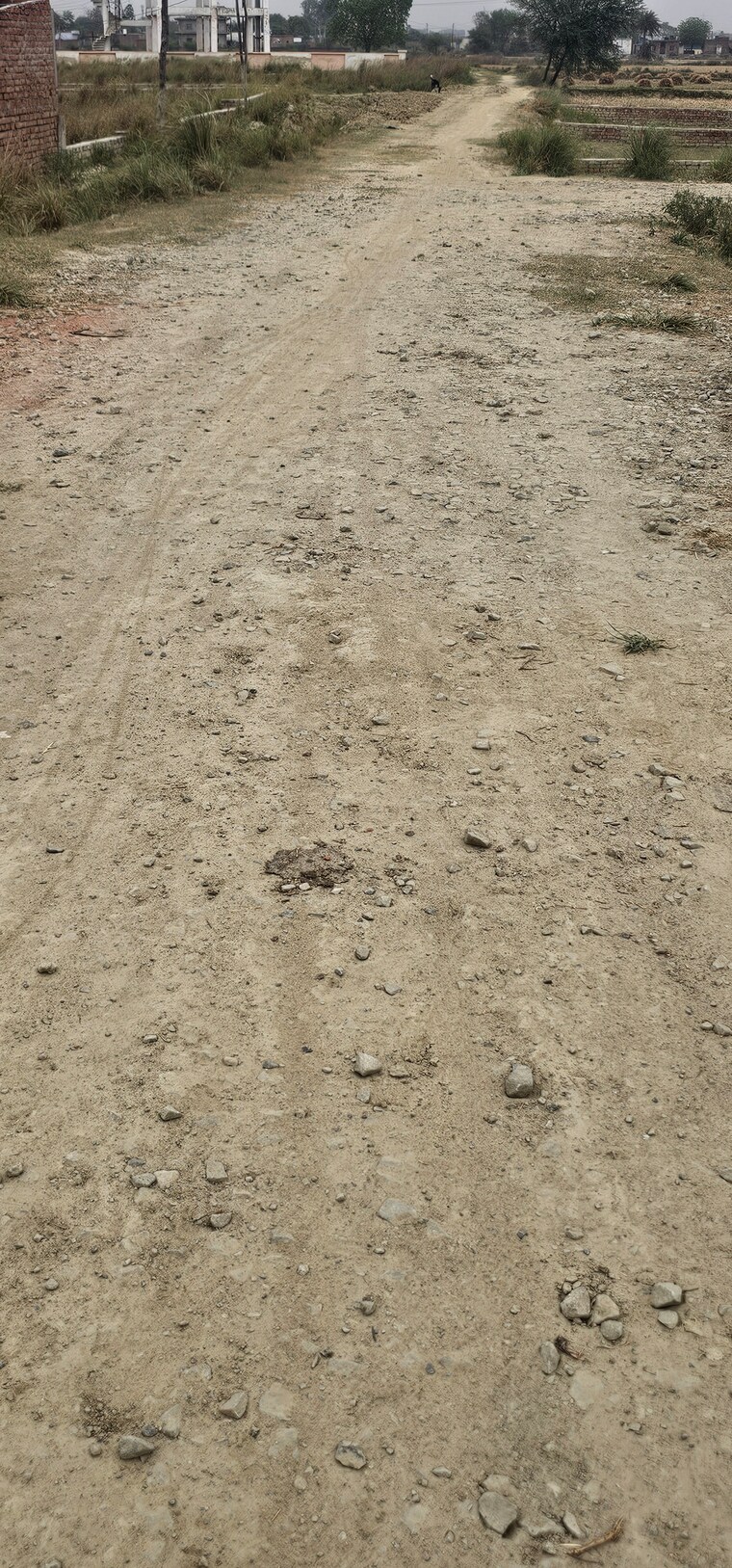 Exterior View, ramnagar  1360 Sq.Yd. Plot In Ramnagar Varanasi 8438467