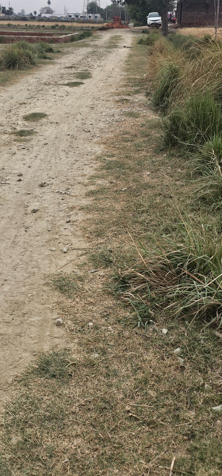 Exterior View, ramnagar  1360 Sq.Yd. Plot In Ramnagar Varanasi 8438467