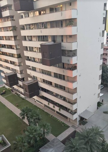 4 BHK Apartment For Rent in Salcon The Verandas, Sector 54