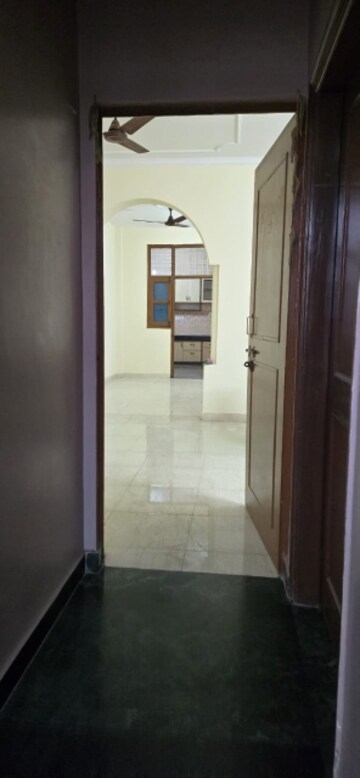 3 BHK Builder Floor For Rent in Sector 45
