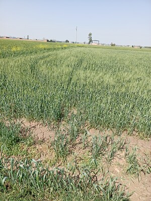  Industrial Plot For Sale in Nh 1