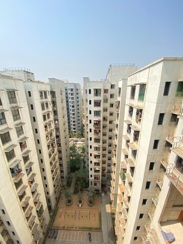 1 BHK Apartment For Rent in Lodha Crown Jasmine D E And F, Dombivli East