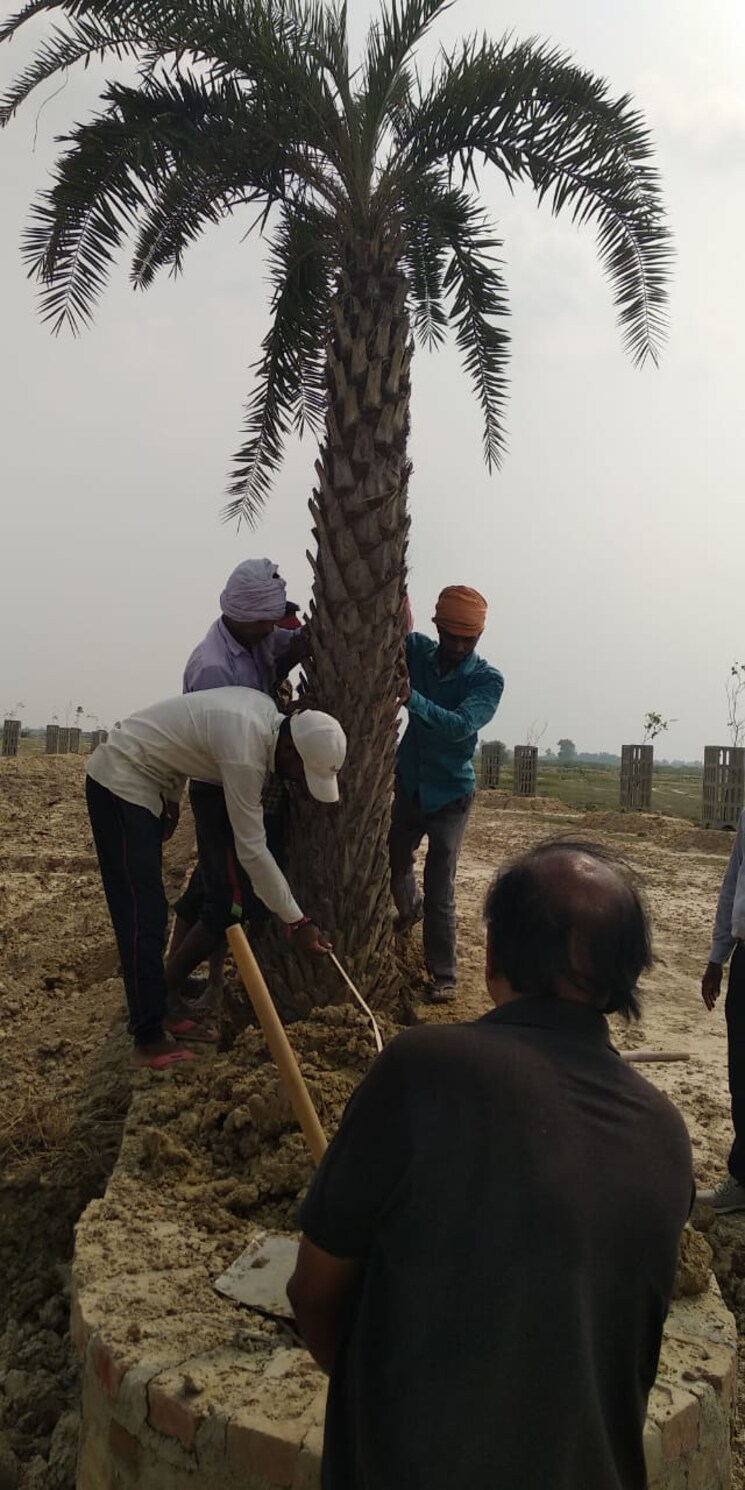 undefined, swastik-signature-park  1636 Sq.Ft. Plot In Sultanpur Road Lucknow 8440510