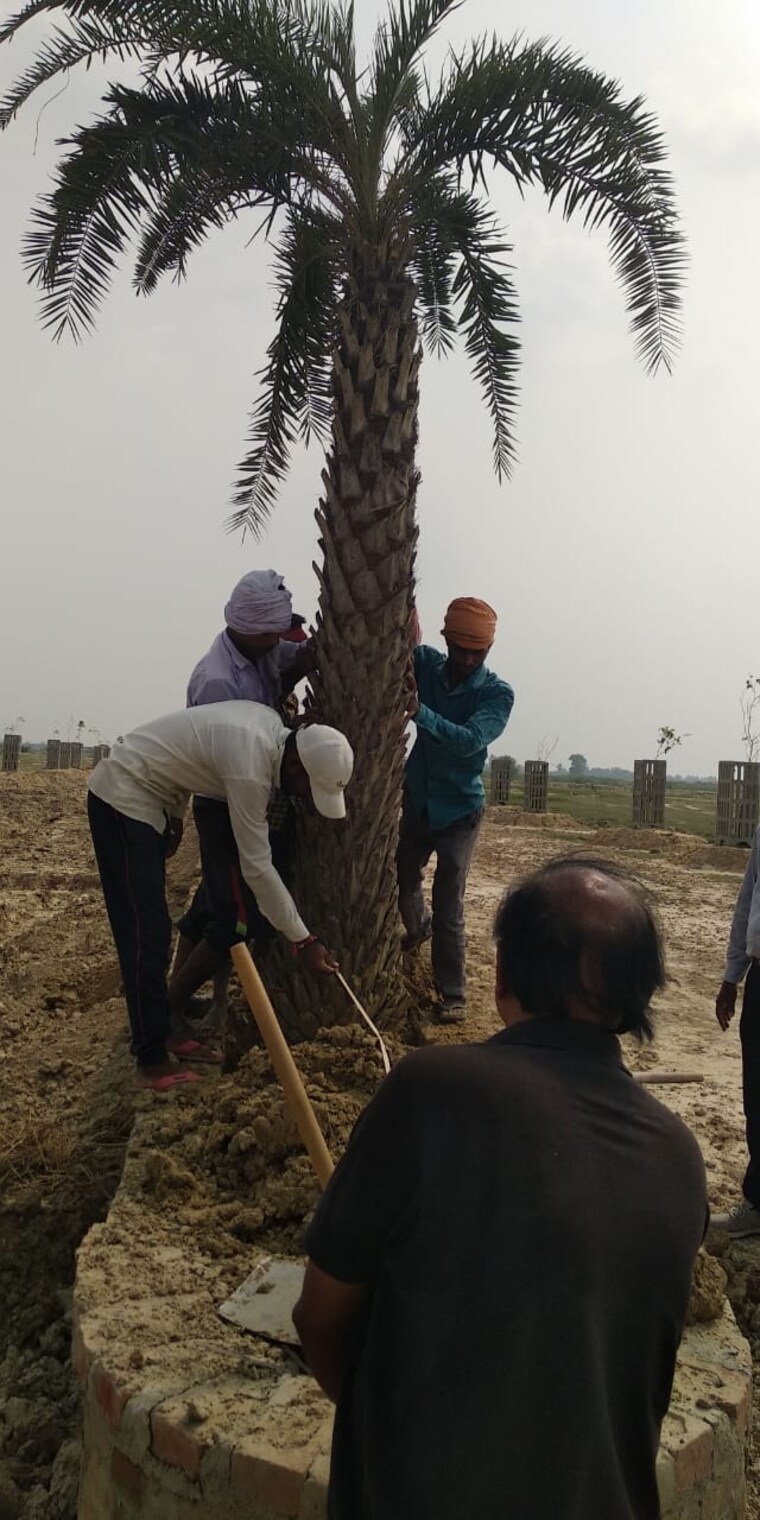 undefined, swastik-signature-park  1636 Sq.Ft. Plot In Sultanpur Road Lucknow 8440510