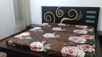 3 BHK Builder Floor For Sale in Savitri Nagar