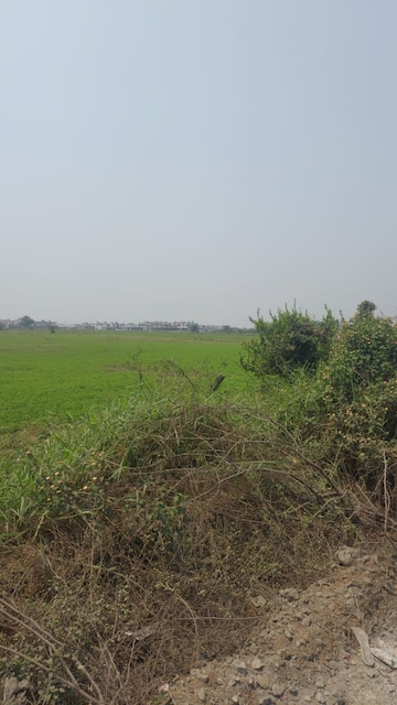  Land For Sale in Kharvasa