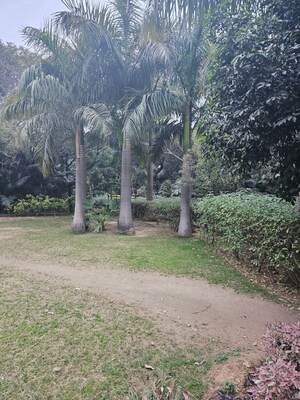  Plot – Exterior View View at Chhajjupur - for Sale