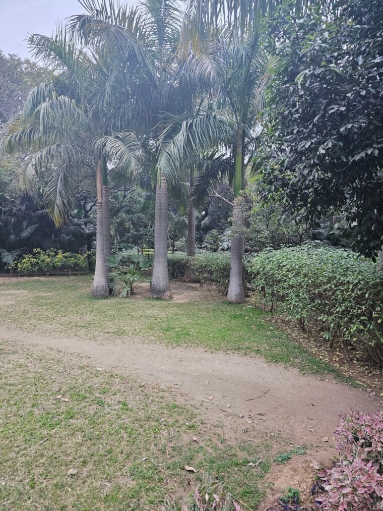 Exterior View, chhajjupur  4840 Sq.Ft. Plot In Chhajjupur Delhi 8441501