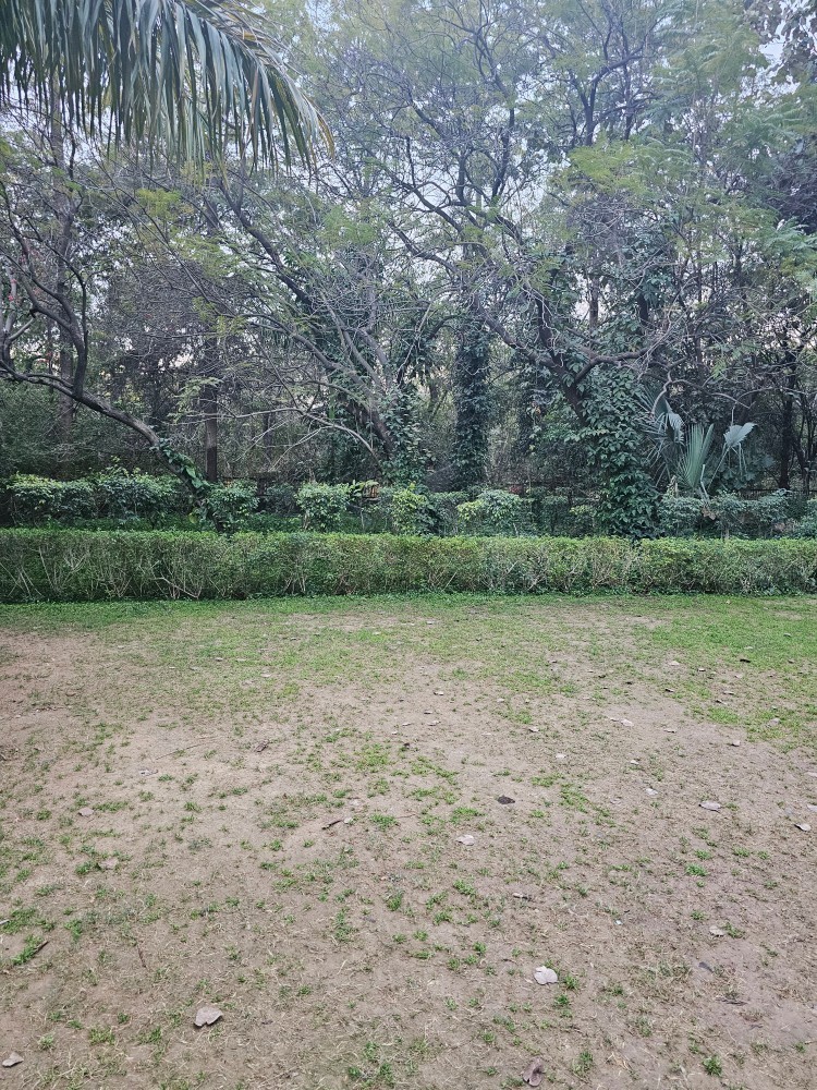 Plot For Sale in Chhajjupur